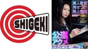 美人教官見せつけ路上教習 公道アクメドライビング 東京都M区H…